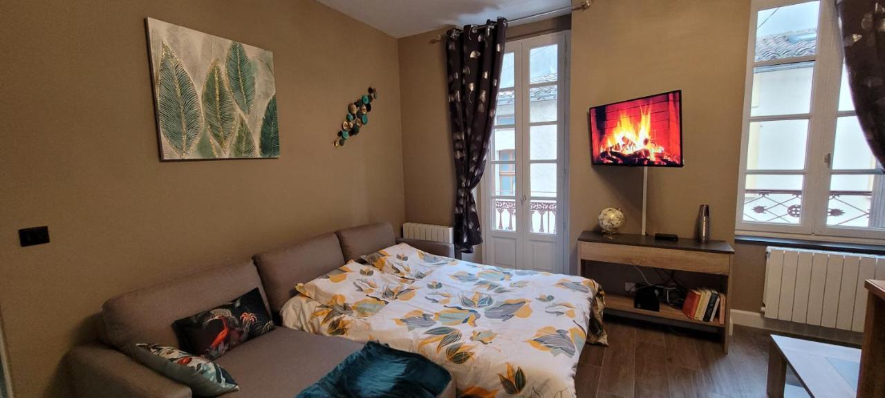 Appartement Le Moulin Vert カルカソンヌ エクステリア 写真