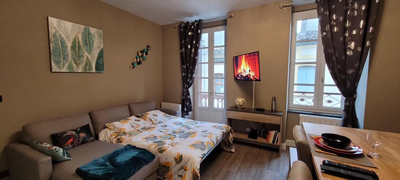 Appartement Le Moulin Vert カルカソンヌ エクステリア 写真